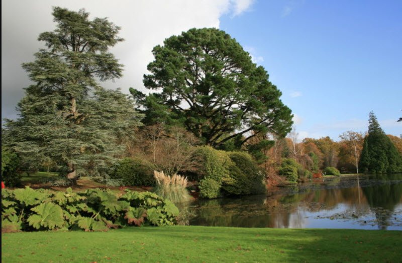 Sheffield Park , United Kingdom